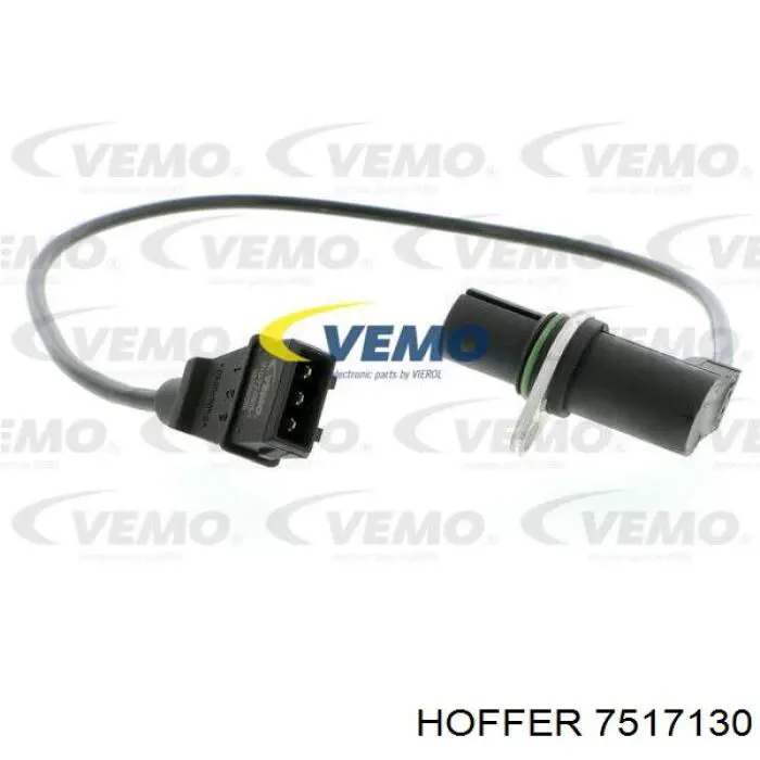 Volkswagen Passat 3A5, 351, 315