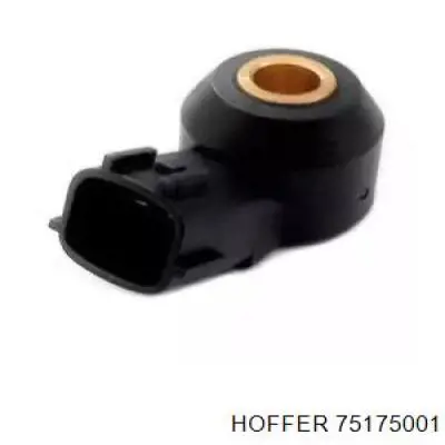 75175001 Hoffer sensor de detonaciones