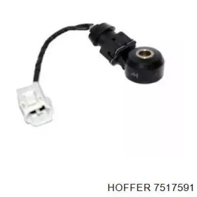 Sensor de detonaciones Hoffer 7517591 precio, desde 24,06 EUR