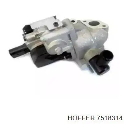 Válvula de regulación de gases Hyundai/Kia 284102A600FFF precio, desde 161,37 EUR
