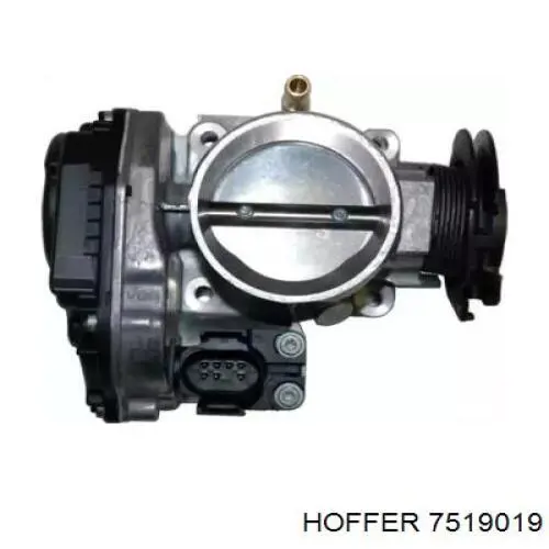 Cuerpo de aceleración completo Hoffer 7519019 precio, desde 84,22 EUR