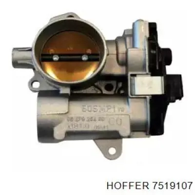 Cuerpo de aceleración completo Magneti Marelli 50SMP1 precio, desde 50,82 EUR