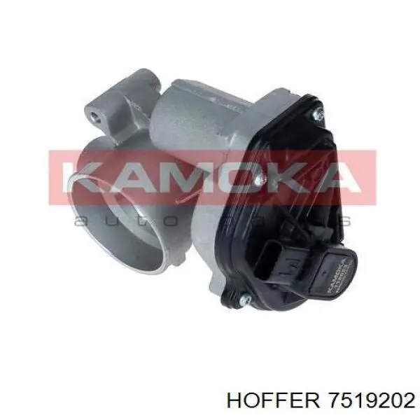 Cuerpo de mariposa 7519202 Hoffer
