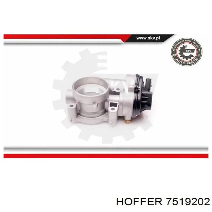 Caja de mariposa Hoffer 7519202