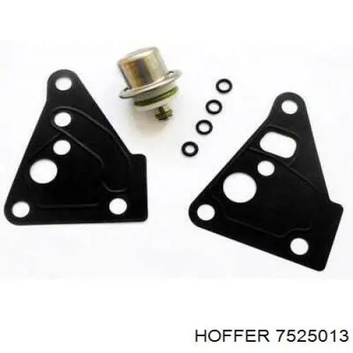 Regulador de presión de combustible, rampa de inyectores Audi A4 8EC