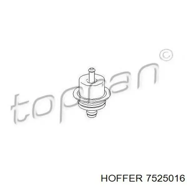 7525016 Hoffer regulador de presión de combustible, rampa de inyectores