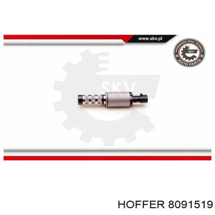 Válvula control, ajuste de levas Chevrolet Aveo 2 T250, T255