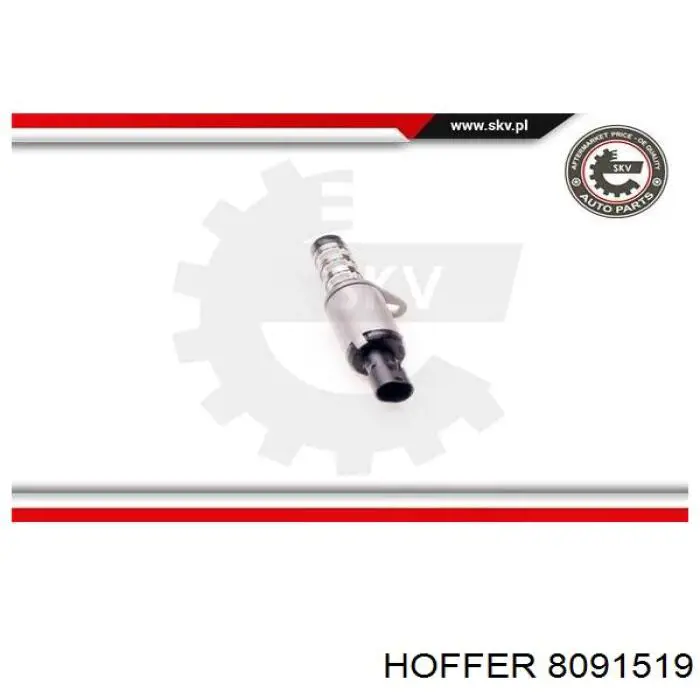 Válvula control, ajuste de levas Chevrolet Aveo 2 T250, T255