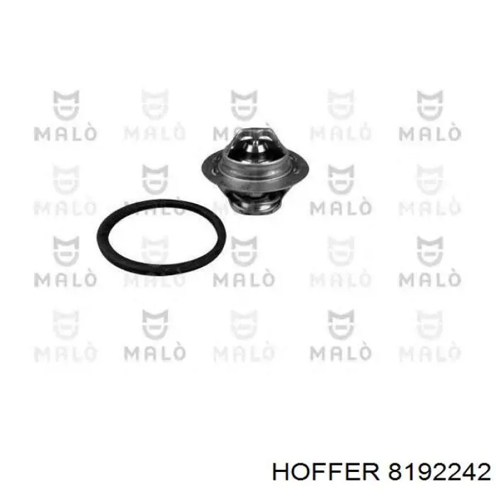 Termostato, refrigerante Renault Laguna 2 BG0, BG1