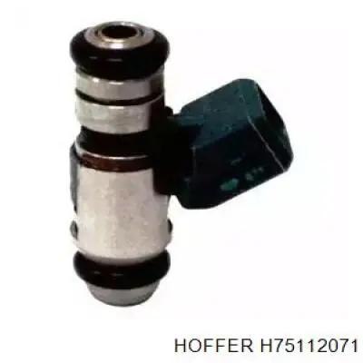 H75112071 Hoffer Inyector de combustible