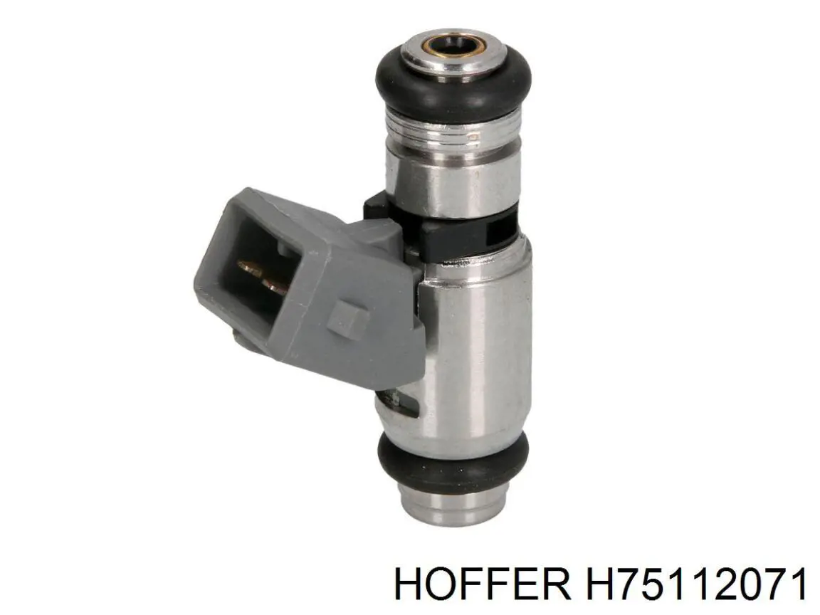 Inyectores Hoffer H75112071 precio, desde 38,80 EUR