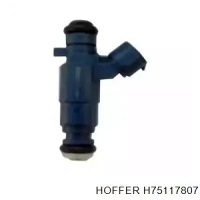 Comprar H75117807 Hoffer Inyector