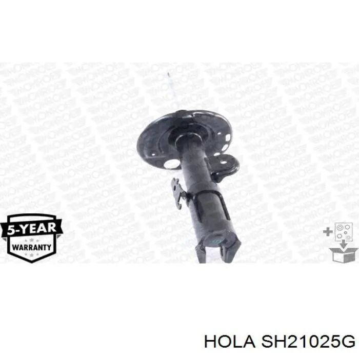 SH21025G Hola amortiguador delantero derecho