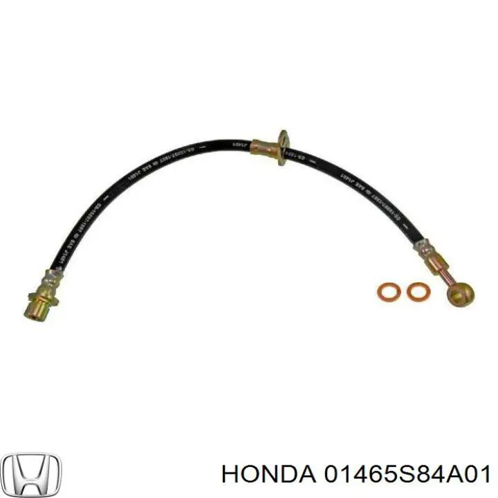 Tubo flexible de frenos delantero izquierdo para Honda Accord (CG)