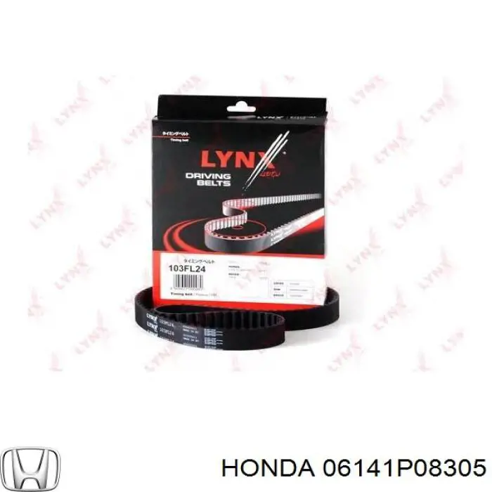 06141P08305 Honda correa distribucion