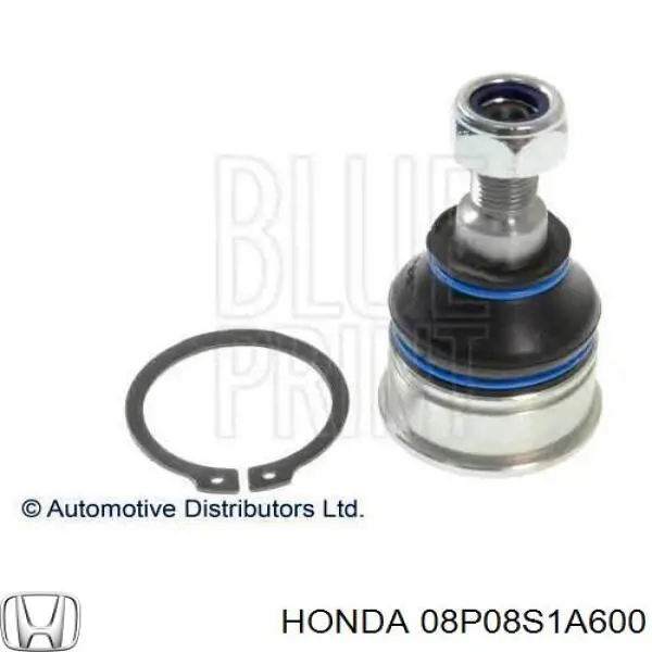  Guardabarros delanteros Honda Accord 6
