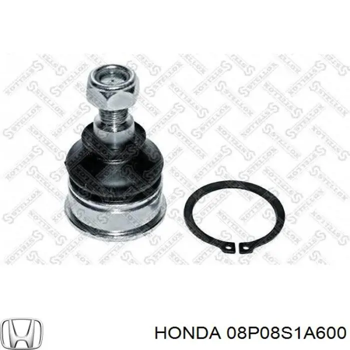 Guardabarros delanteros para Honda Accord VI CG
