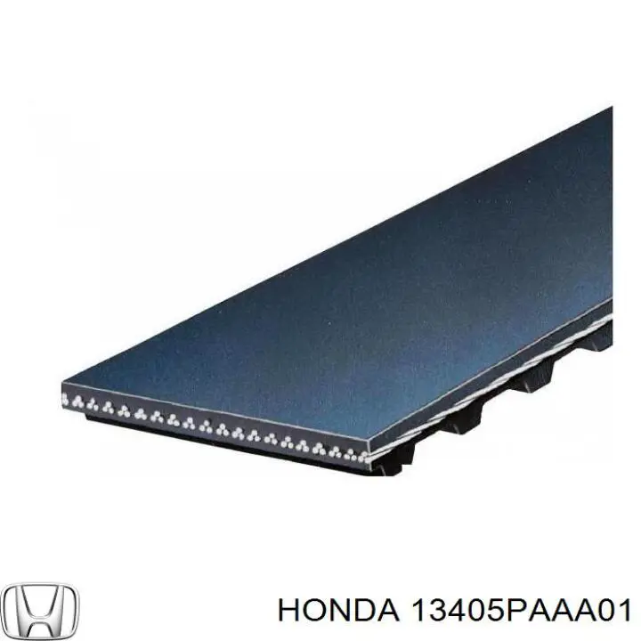Correa del eje de equilibrado Honda 13405PAAA01 precio, desde 16,58 EUR
