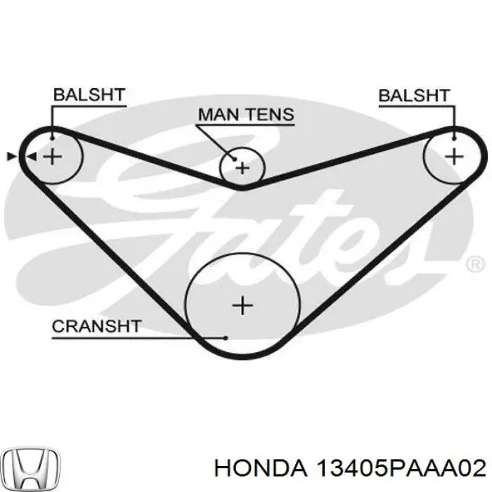 13405PAAA02 Honda correa dentada, eje de balanceo