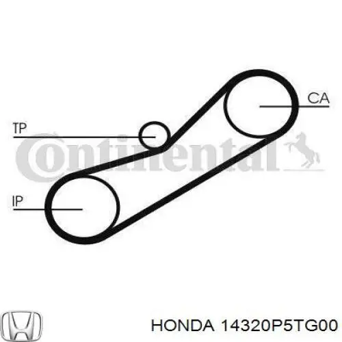 Correa, bomba de alta presión para Honda Civic (MB, MC)