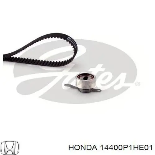 Correa de distribución Honda 14400P1HE01 precio, desde 18,76 EUR