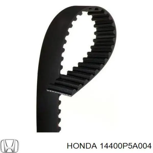 14400P5A004 Honda correa distribucion