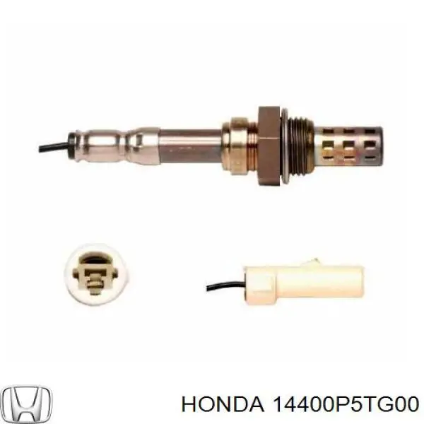 Correa de distribución Honda 14400P5TG00
