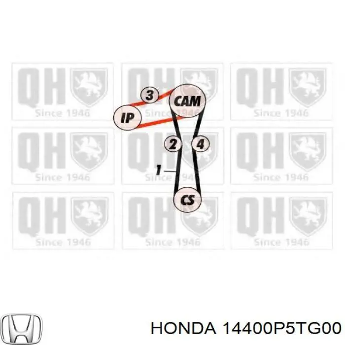 Correa de distribución Honda 14400P5TG00 precio, desde 26,56 EUR