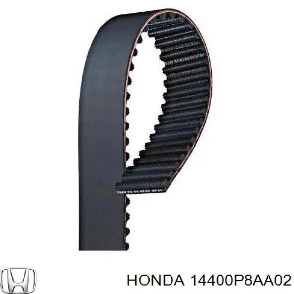 14400P8AA02 Honda correa distribucion