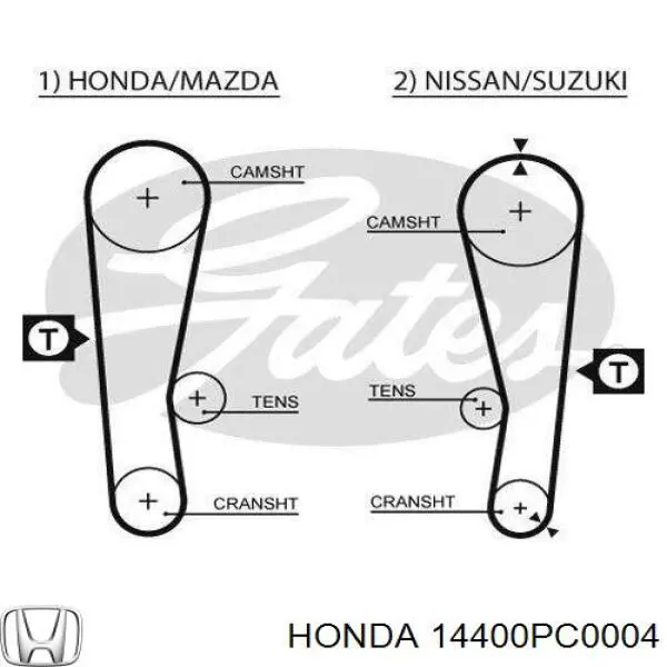 14400PC0004 Honda correa distribucion