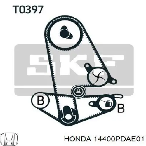 Correa distribución 14400PDAE01 Honda