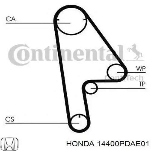 Correa de distribución Honda 14400PDAE01 precio, desde 29,46 EUR