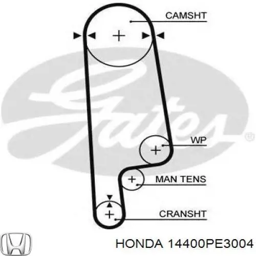 14400PE3004 Honda correa distribucion