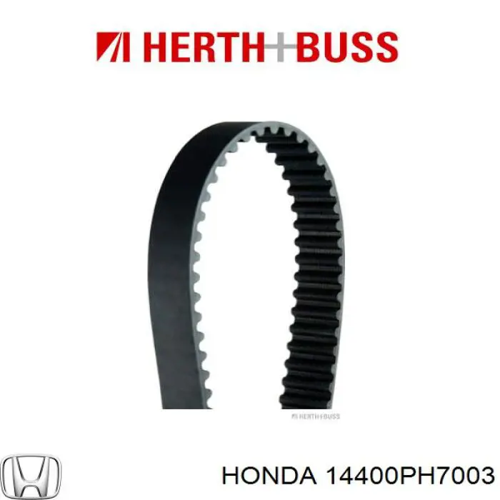 14400PH7003 Honda correa distribucion