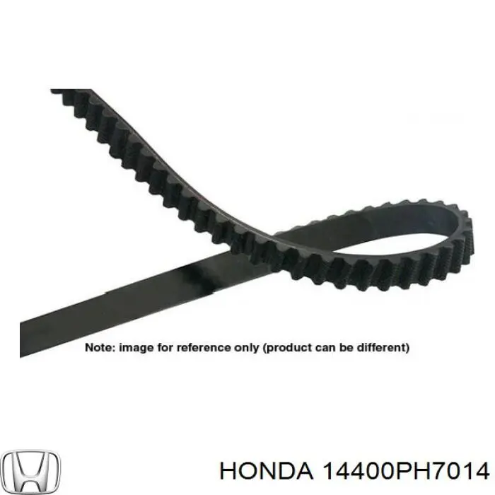 06141PH7305 Honda correa distribucion