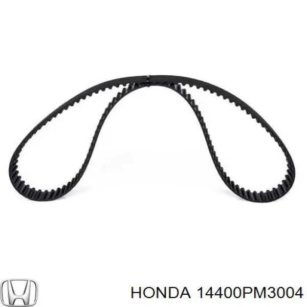 Correa de distribución Honda 14400PM3004 precio, desde 24,00 EUR