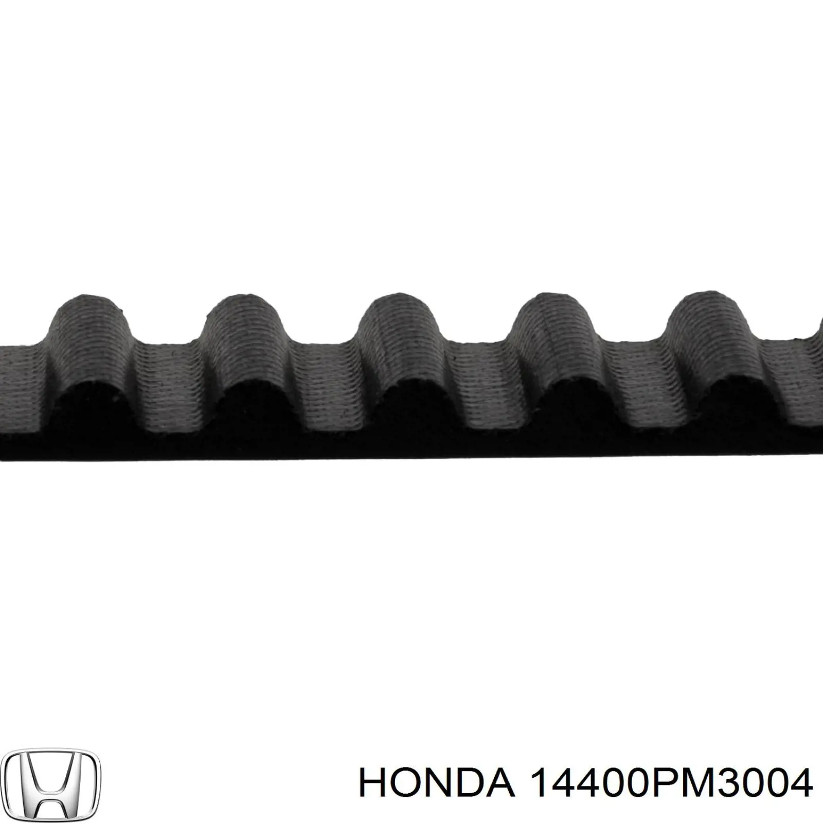 Comprar 14400PM3004 Honda Correa distribución