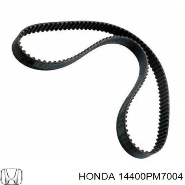 Correa de distribución Honda 14400PM7004