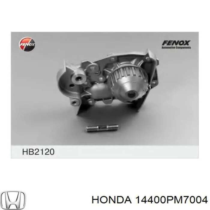 Correa de distribución Honda 14400PM7004 precio, desde 21,36 EUR