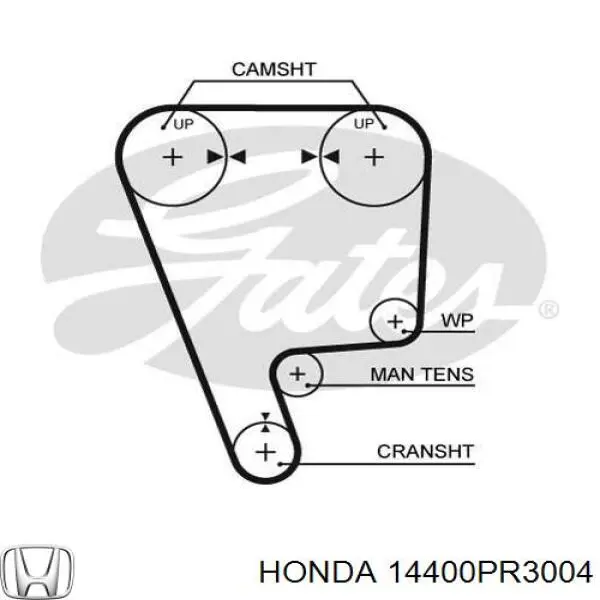 14400PR3004 Honda correa distribución