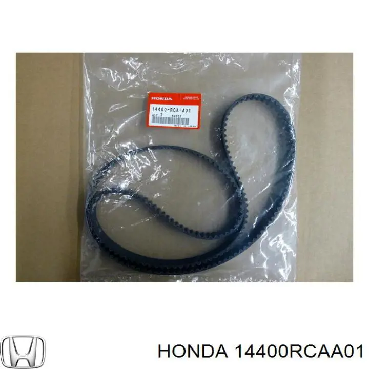 Correa distribucion HONDA 14400RCAA01