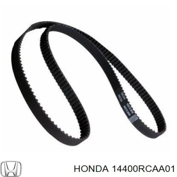 Correa distribución 14400RCAA01 Honda