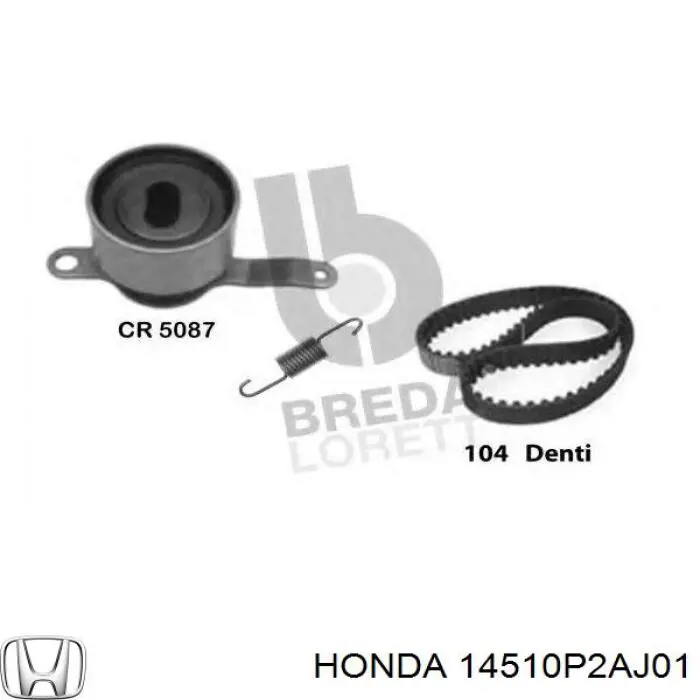14510P2AJ01 Honda tensor correa distribución