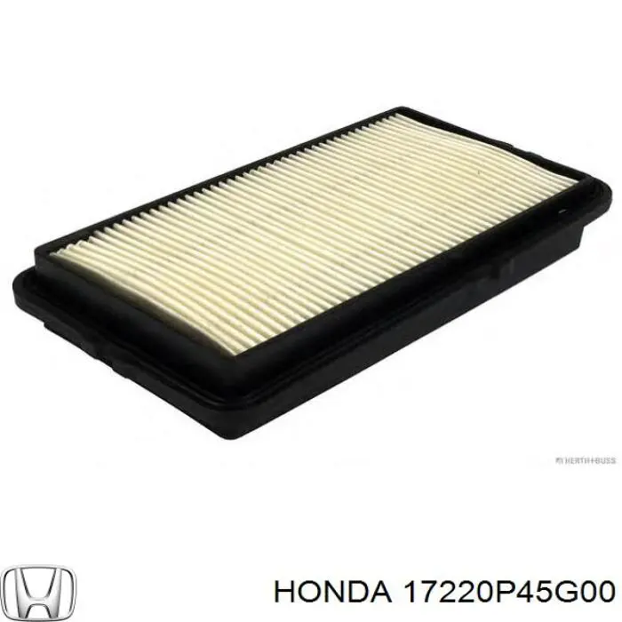 17220P45G00 Honda filtro de aire