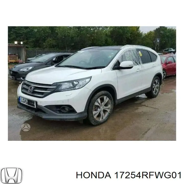 17254RFWG01 Honda