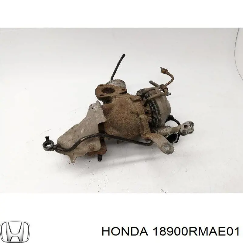 Comprar 18900RMAE01 Honda Turbo de coche