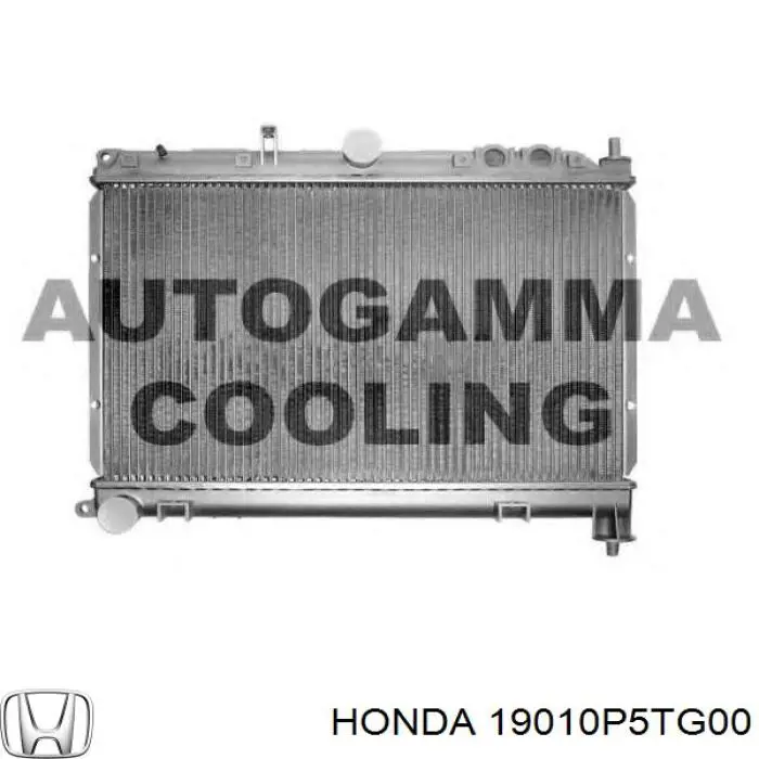 19010P5TG00 Honda