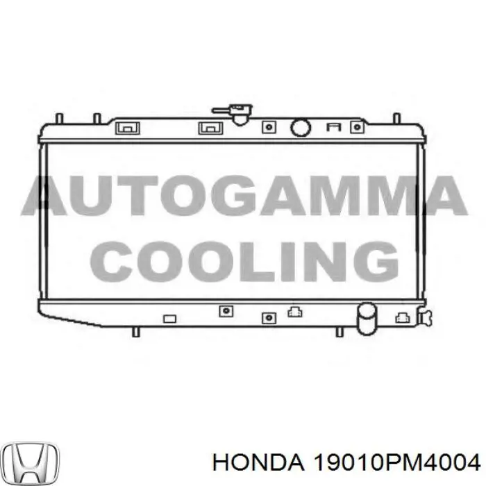 19010PM4004 Honda radiador