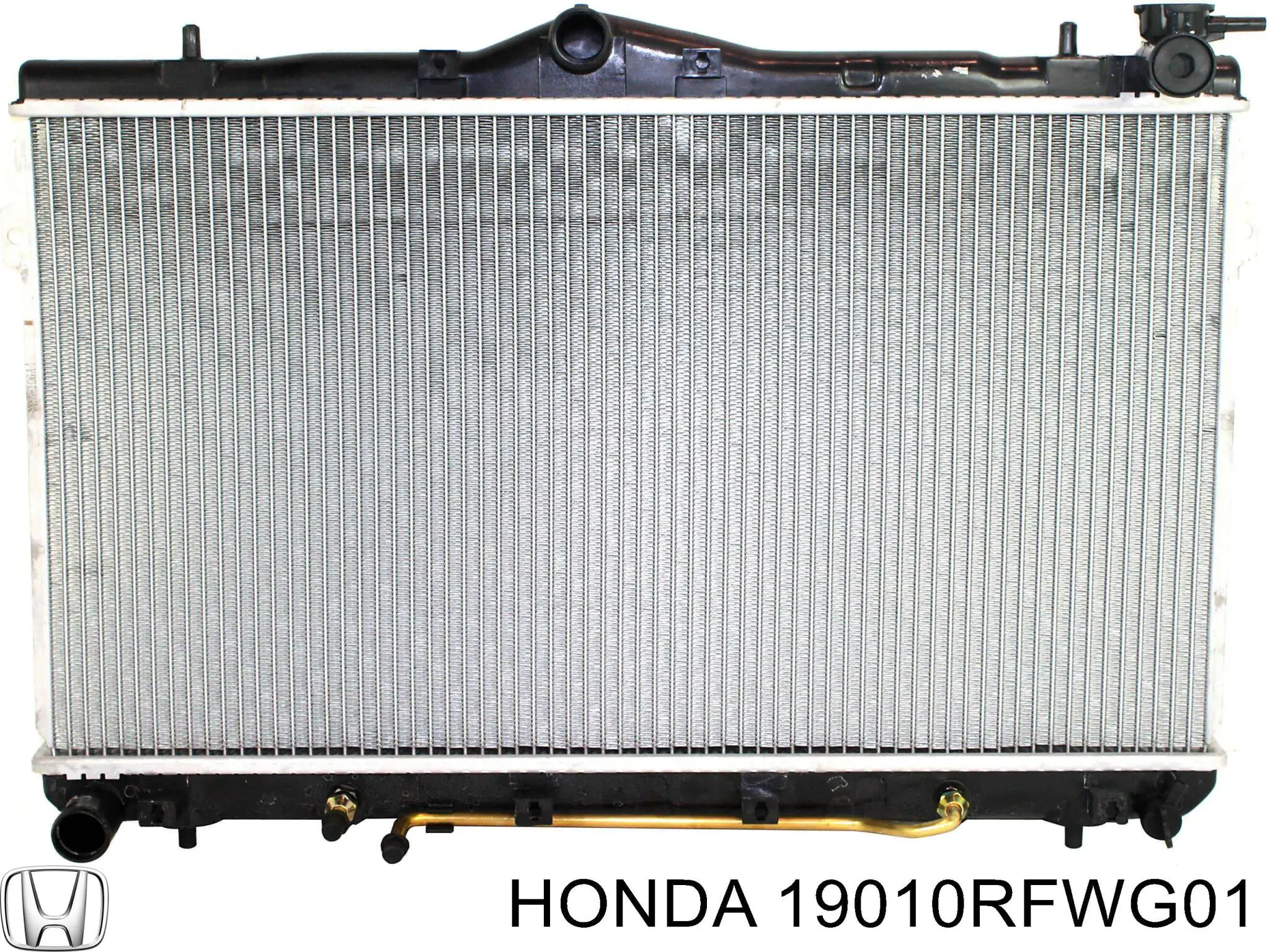 Água radiador Honda 19010RFWG01 precio, desde 128,09 EUR