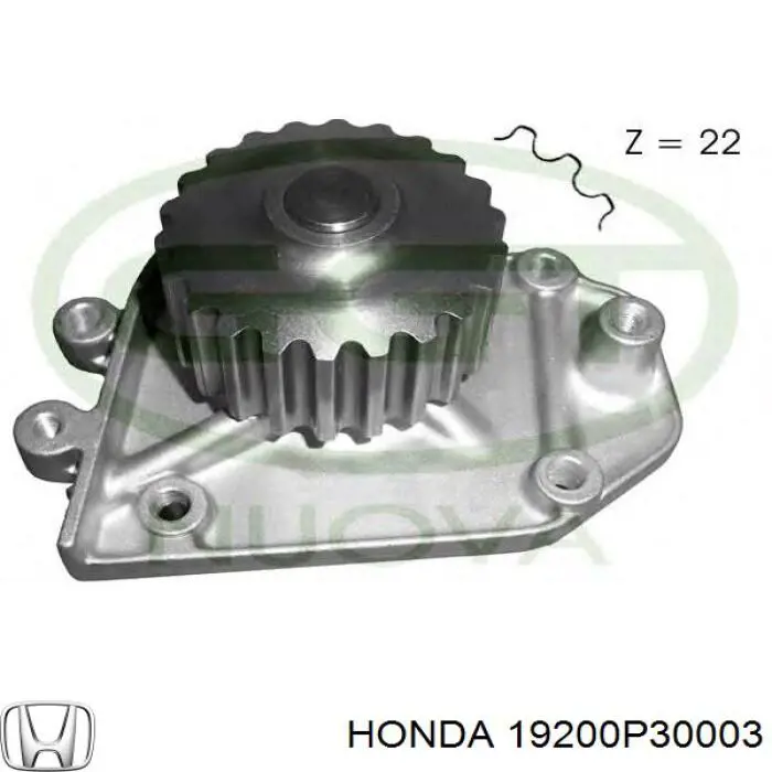 H137 Dolz Bomba refrigerante coche